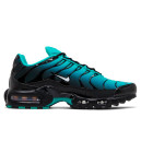 Nike Air Max Plus Light Retro DM0032-401 S-2355372