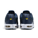 Кросівки Nike Air Max Plus French Football Federation FB3350-400 Жінкам