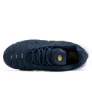 Шкіра Кросівки Nike Air Max Plus French Football Federation FB3350-400