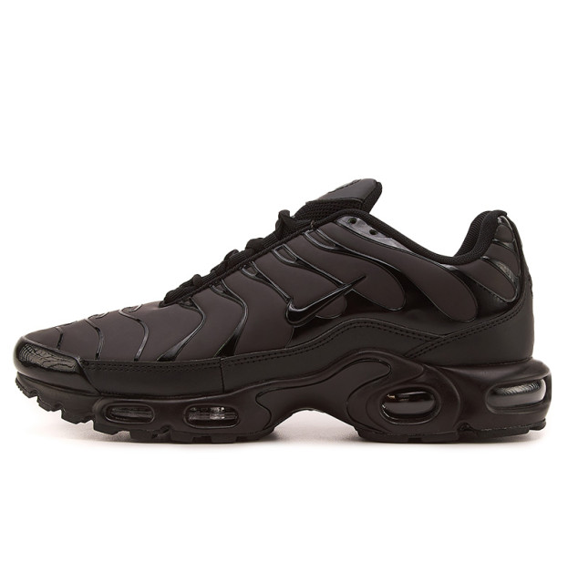 Nike Air Max TN Plus Chameleon Blue