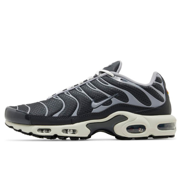 Nike Air Max Plus Iron Grey DZ2655-001