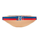 Сумки Сумка на плече Nike NK HERITAGE WAISTPACK - FSTVL DZ6293-266 Жінкам