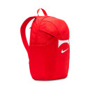 Рюкзак Nike ACDMY TEAM BKPK 2.3 DV0761-657 S-2353664