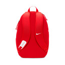 Рюкзаки Рюкзак Nike ACDMY TEAM BKPK 2.3 DV0761-657 Женщинам