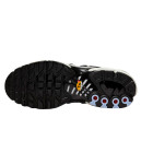 Nike Air Max Plus Toggle Black Silver FD0799-001