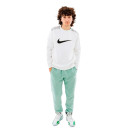 Кофти Світшот Nike CREW BB FN0245-100 Чоловікам