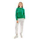 Синтетика Кофти Толстовка Nike FLC PARK20 PO HOODIE CW6957-302