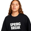 Футболка Nike NK SB TEE SPRING BREAK DX9457-010 S-2352029