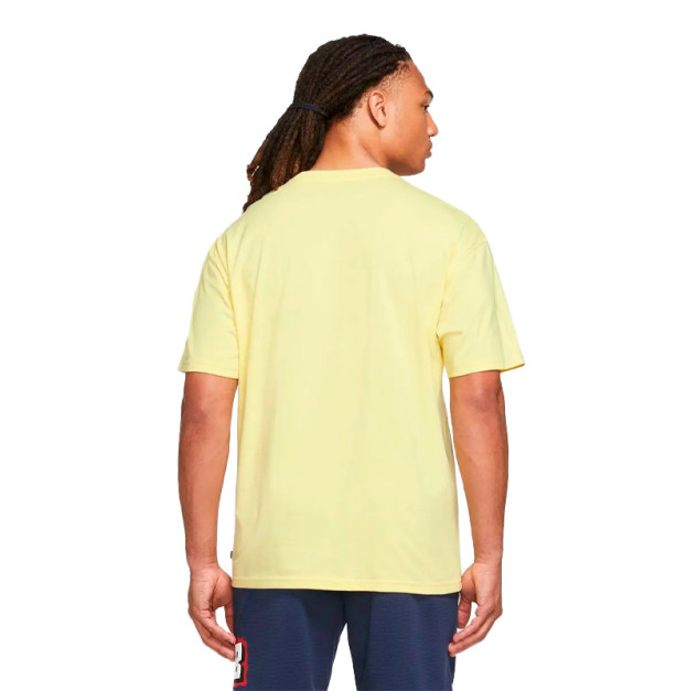 Футболка Nike NK SB TEE SPRING BREAK DX9457-706
