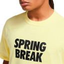 Футболка Nike NK SB TEE SPRING BREAK DX9457-706 S-2352030