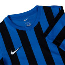 Футболка Nike NK DF STRP DVSN IV JSY SS CW3816-463 S-2352070