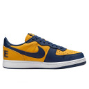 Nike Terminator Low Michigan FJ4206-700 S-2351566