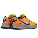 Кросівки Nike Pegasus Trail 3 Total Orange DA8697-800 Жінкам