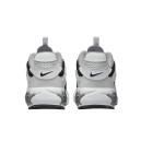 Текстиль Кросівки Nike Zoom Air Fire Photon Dust Pewter CW3876-004