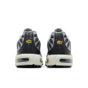Sneakers Nike Air Max Plus Iron Grey DZ2655-001 Women