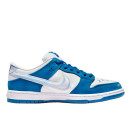 Nike SB Dunk Low x Born x Raised FN7819-400 S-2350004
