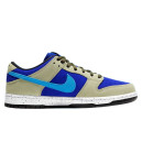 Nike Dunk Low Pro ACG Celadon BQ6817-301 S-2350196