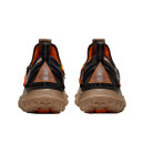 Синтетика Кроссовки Nike ACG Mountain Fly Low Fossil Stone Black DA5424-200