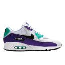 Nike Air Max 90 Grape AJ1285-103 S-57261