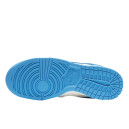 Nike Dunk Low Coast DD1503-100