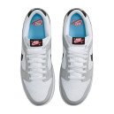 Кроссовки Nike Dunk Low Lottery Grey Fog DR9654-001 Женщинам
