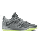 Nike KD 15 TB Wolf Grey DO9826-001 S-57523
