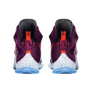 Текстиль Кроссовки Nike LeBron 13 Written In the Stars 807219-500