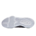 Nike LeBron 17 Low Particle Grey CD5007-004