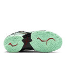 Шкіра Кросівки Nike LeBron 11 King's Pride 616175-700