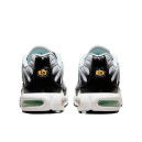 Текстиль Кроссовки Nike Air Max Plus White Black Mint Green DH4776-100